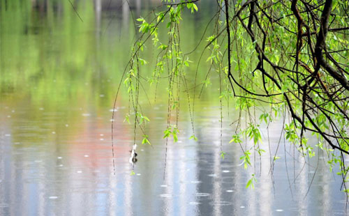 雨中的守护者 —— 定西珍珠棉的应用实践